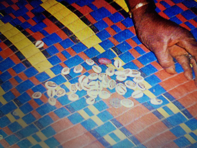 Some cowrie shells lie on a mosaic floor.
