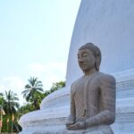 Buddhist Psychology as Esoteric Activism?