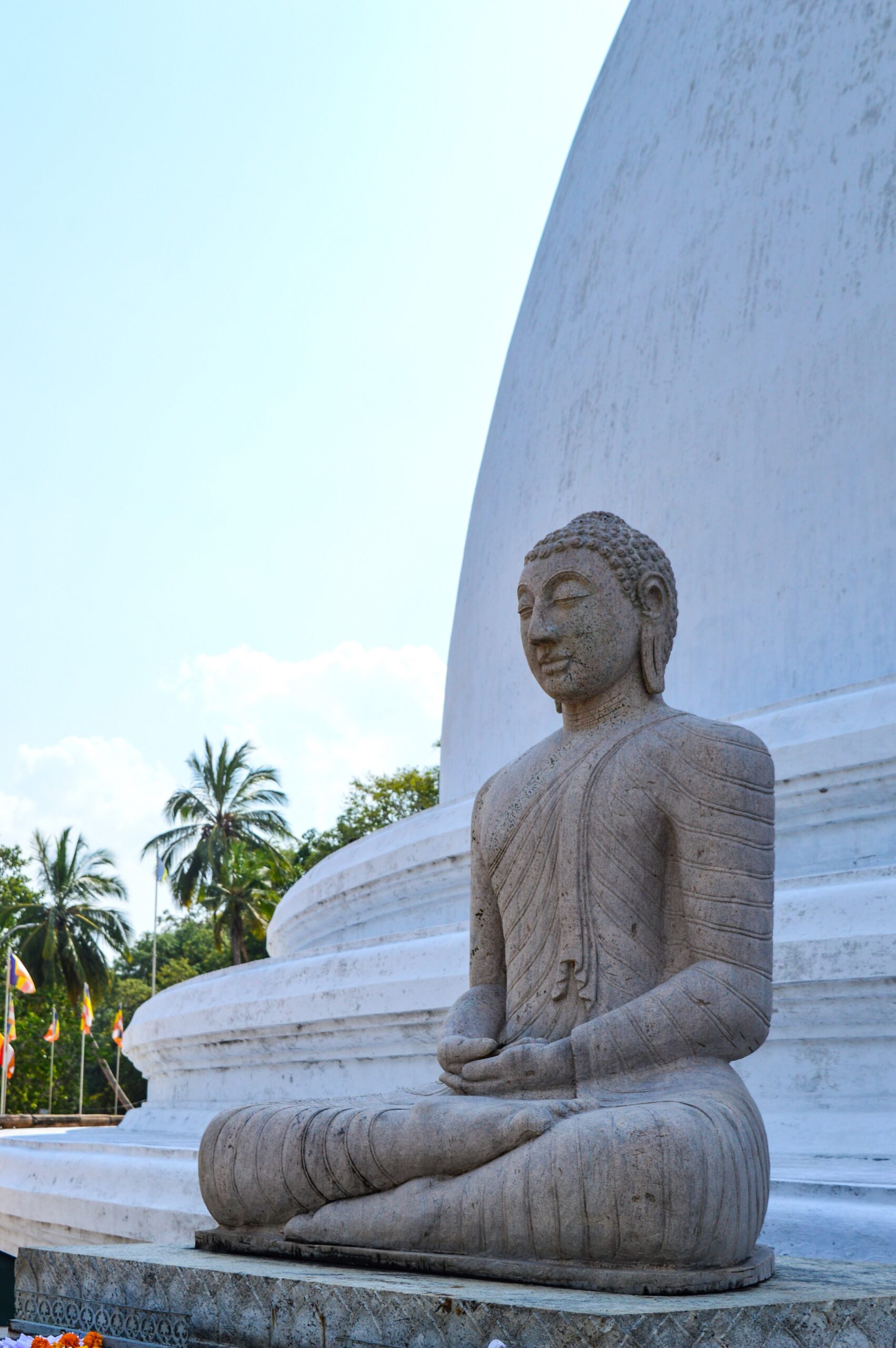 Buddhist Psychology as Esoteric Activism?